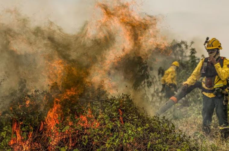 Brasil Registra Quase 2.000 Focos De Incêndio Por Dia Em Agosto