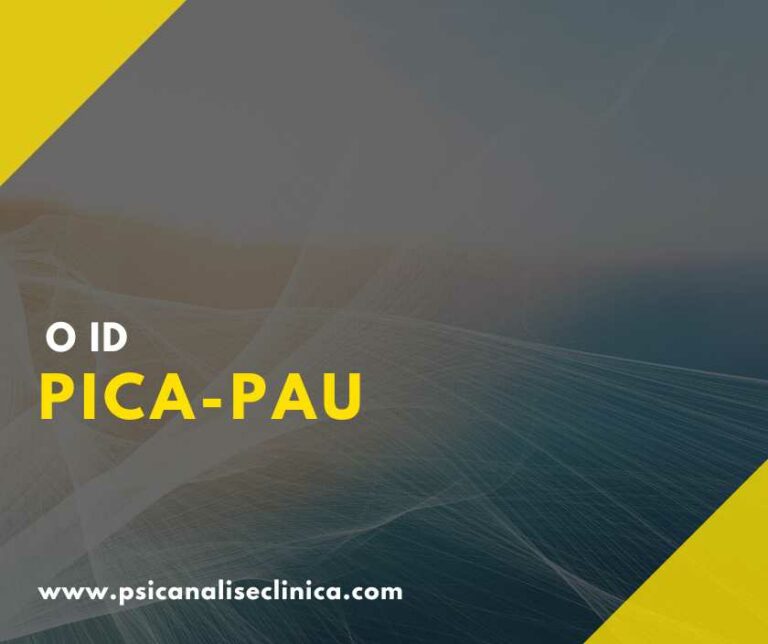 ID Pica-Pau