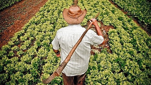 Rio Grande do Sul sanciona lei de fomento à agricultura sustentável e regenerativa