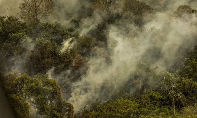 Rondônia Declara Situação De Emergência Por Incêndios Florestais