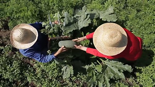 Encontro de Mulheres e Agroecologia começa nesta quinta (5) em Chapecó (SC)