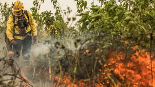 Rio de Janeiro tem crescimento de 160% no número de focos de incêndio entre janeiro e agosto deste ano