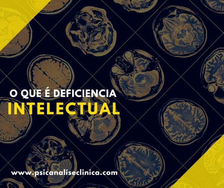 deficiencia intelectual significado